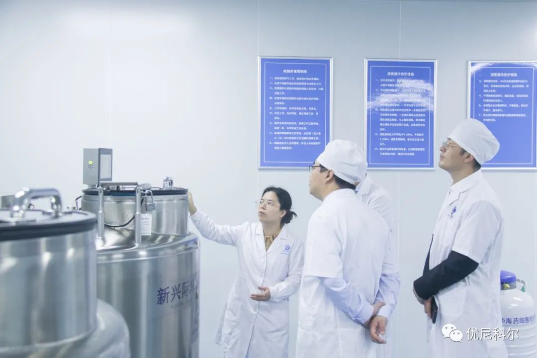 细胞治疗(图1)