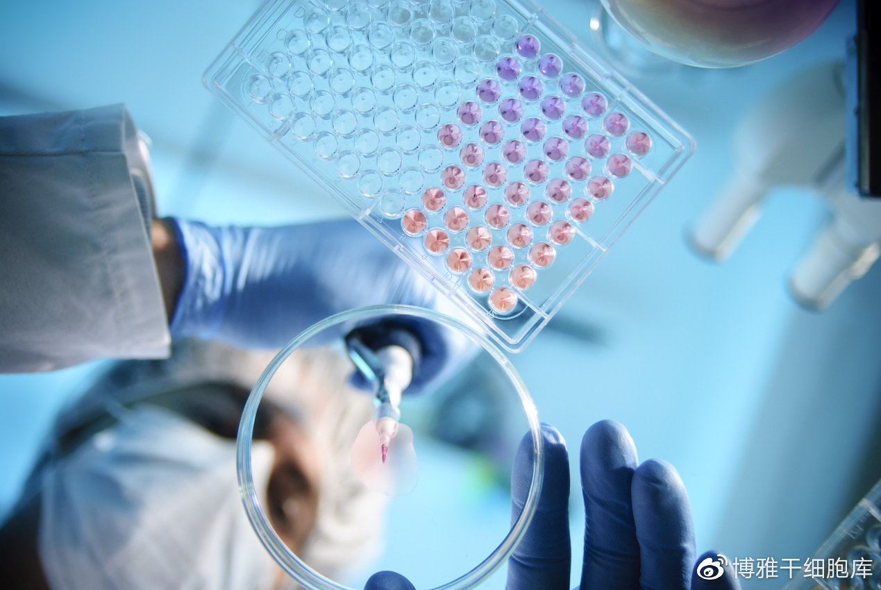 内蒙古原生元生物科技有限公司获授牌国家干细胞转化资源库前置库(图1)