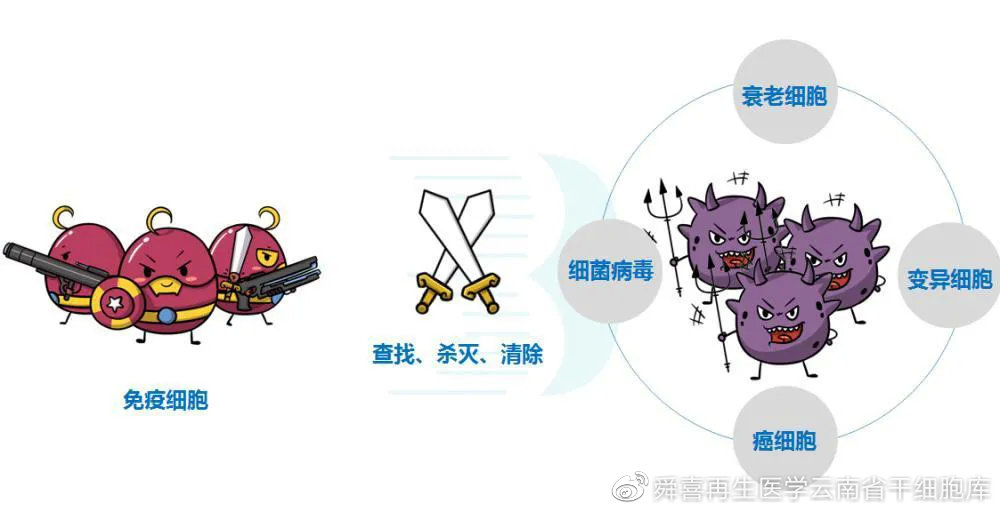 青岛拟建生物样本库投资1亿(图1)