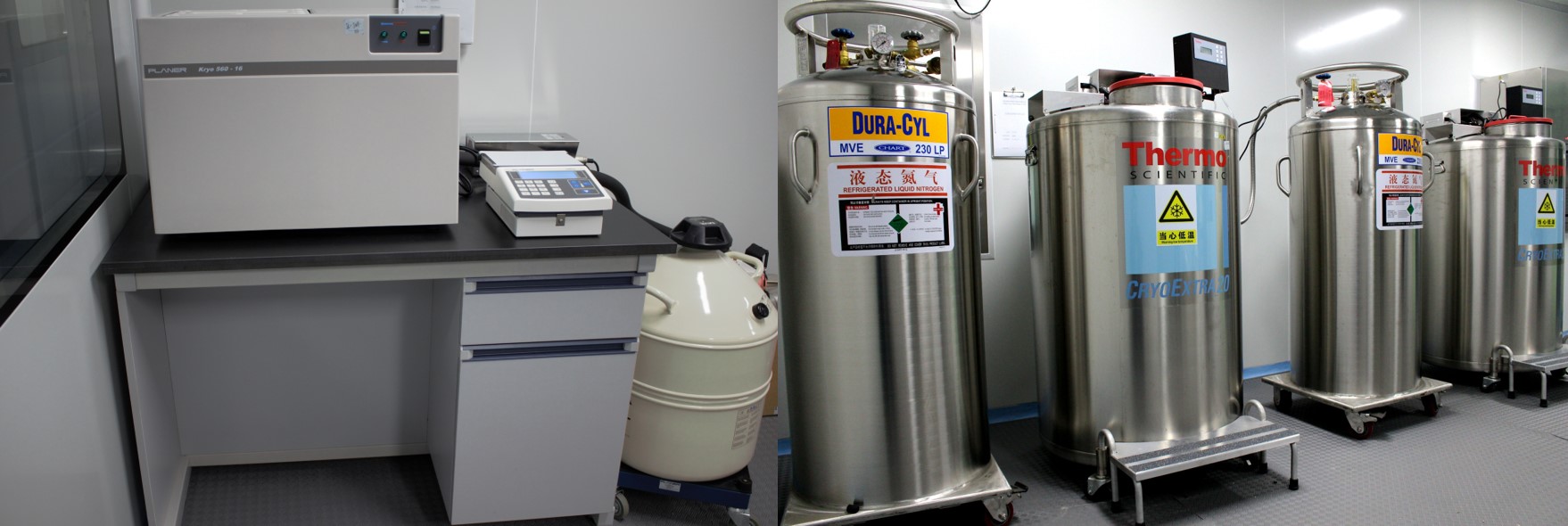 生物制药之细胞库建立要点(图1)
