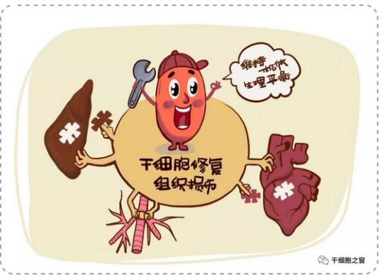 OFweek人工智能网(图1)