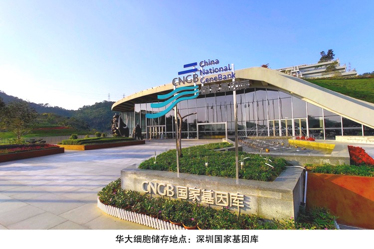 2026年干细胞服务优质机构盘点中健爱能可圈可点(图1)