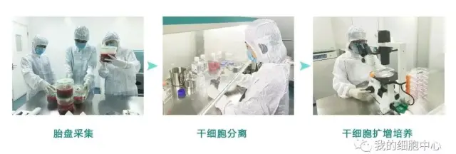细胞存储机构解析河南省组织细胞库领跑全产业链发展(图1)