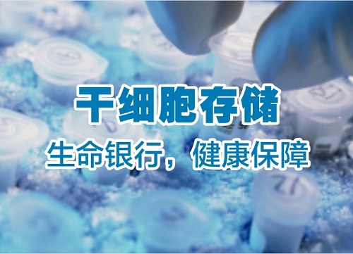 河南省新生儿胎盘干细胞储存服务商的选择标准家庭健康管理解决方案(图1)