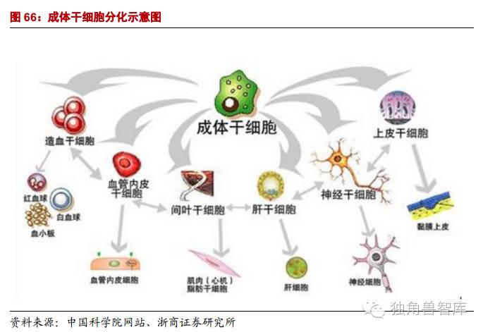 即将上天！成都“太空医药”要来了(图1)