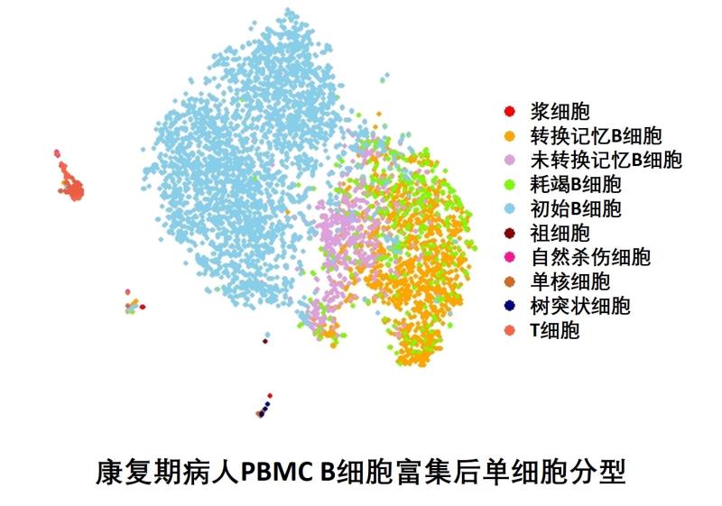 2024-2030全球细胞建库服务行业调研及趋势分析报告docx(图1)