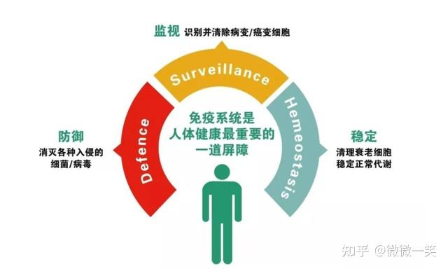 中环置地中心望雲营销中心官网2026销售|中环置地望雲售楼处地址电话|楼盘详情|价格户型|周边环境配套|容积率交房时间(图1)