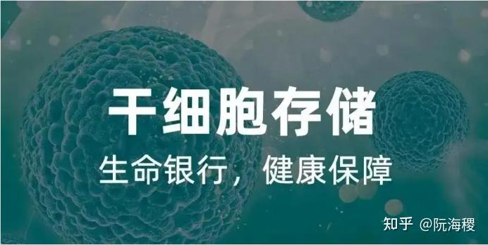 南华生物涨089%成交额732653万元近5日主力净流入-251803万(图1)