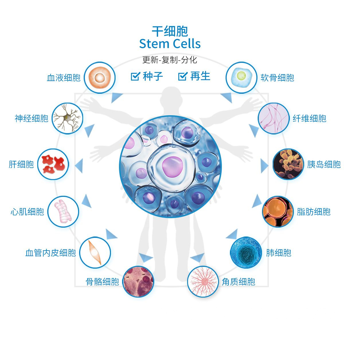 行业资讯丨818号令落地四十五日两批备案项目透视细胞治疗产业新变局(图1)