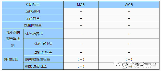 来自浦东企业！全球首款实体瘤CAR-T疗法在中国正式获批上市(图1)