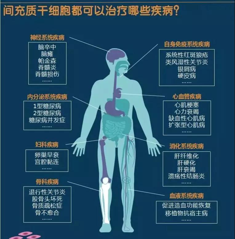 九芝堂涨546%成交额1049亿元后市是否有机会?(图1)