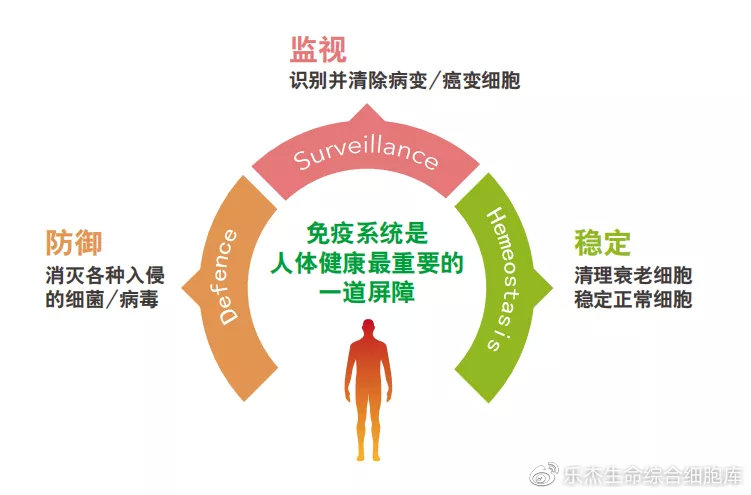 基因编辑的商业化:一款产品220万美元A股超20家概念股但多数只卖工具(图1)