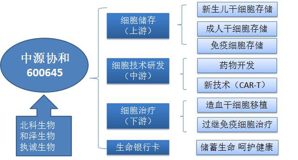 2026年中国细胞治疗行业:从政策破冰到临床普惠的产业新局(图1)