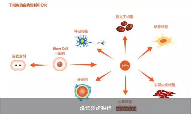 历经7年中源协和3亿元募投项目现场仍为草地(图1)