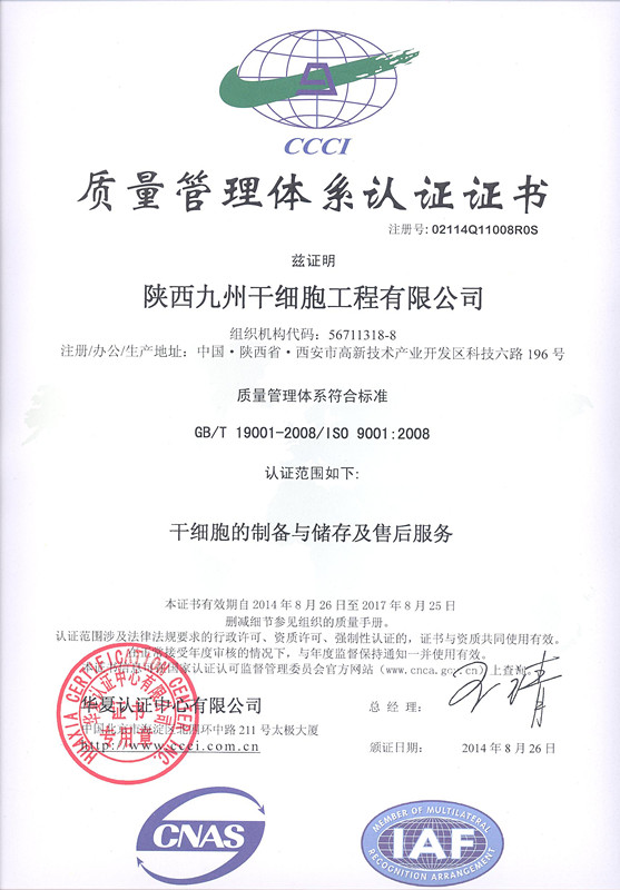 中国战队KSG获2026电竞世俱杯王者荣耀项目冠军(图1)