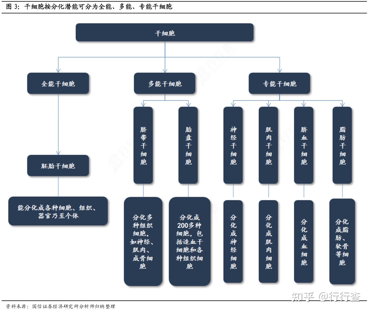 DB13T5163-2020综合细胞库建设与管理规范pdf(图1)