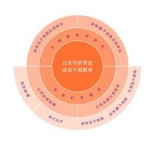 【团体标准】综合细胞资源库数字化建设应用技术指引(图1)