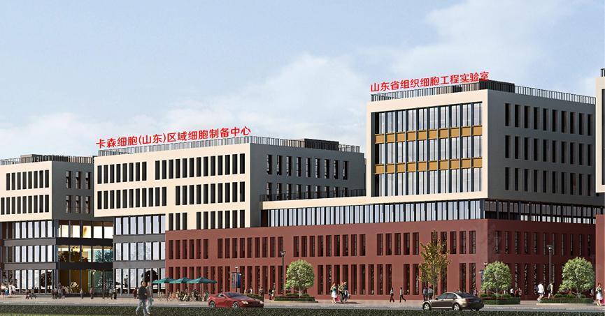 干细胞龙头公司一览（2025220）(图1)