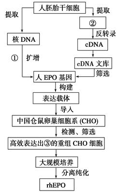 快讯:《细胞库质量管理规范》于今日正式发布(图1)