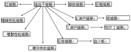 细胞间管理规范(图1)