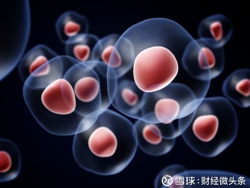 东方精选混合(400003)基金特色数据_基金档案_天天网(图1)