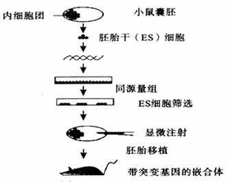 汉氏联合干细胞制备工艺体系获北京市科技发明奖(图1)