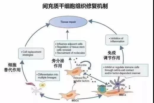 通用细胞系（CTCC细胞库）(图1)