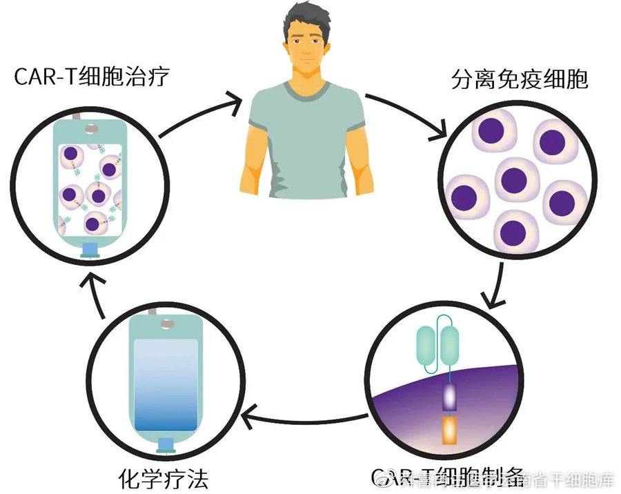 技术服务平台(图1)