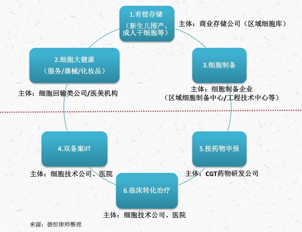 最新市场调研!预计2025年细胞储存行业市场规模有望突破132亿元同比增长11%「图」(图1)