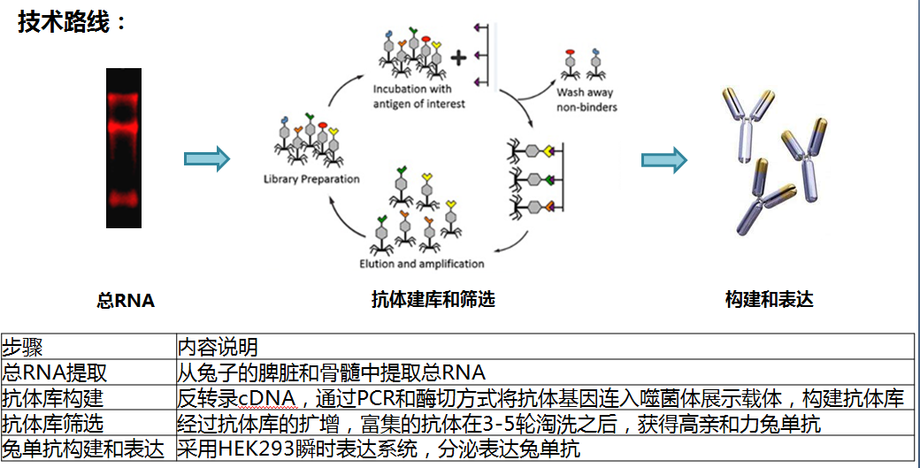 潜规则-OFweek电子工程网(图1)