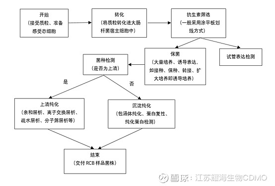 DSP的算法(图1)