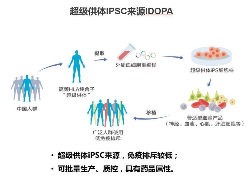 临床级干细胞库的建设与管理pdf(图1)
