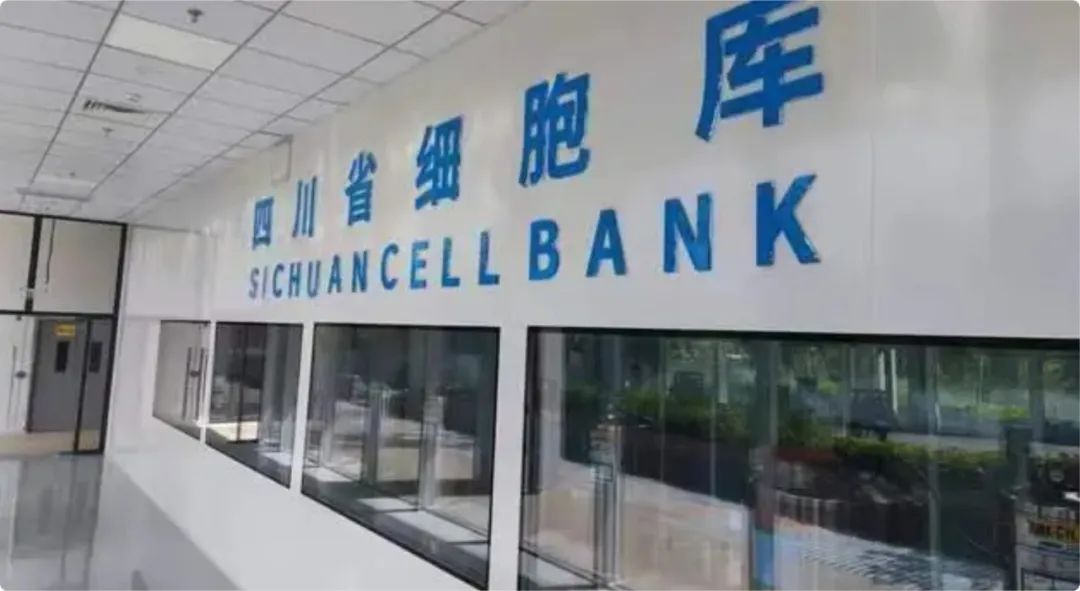 干细胞培养全攻略(图1)