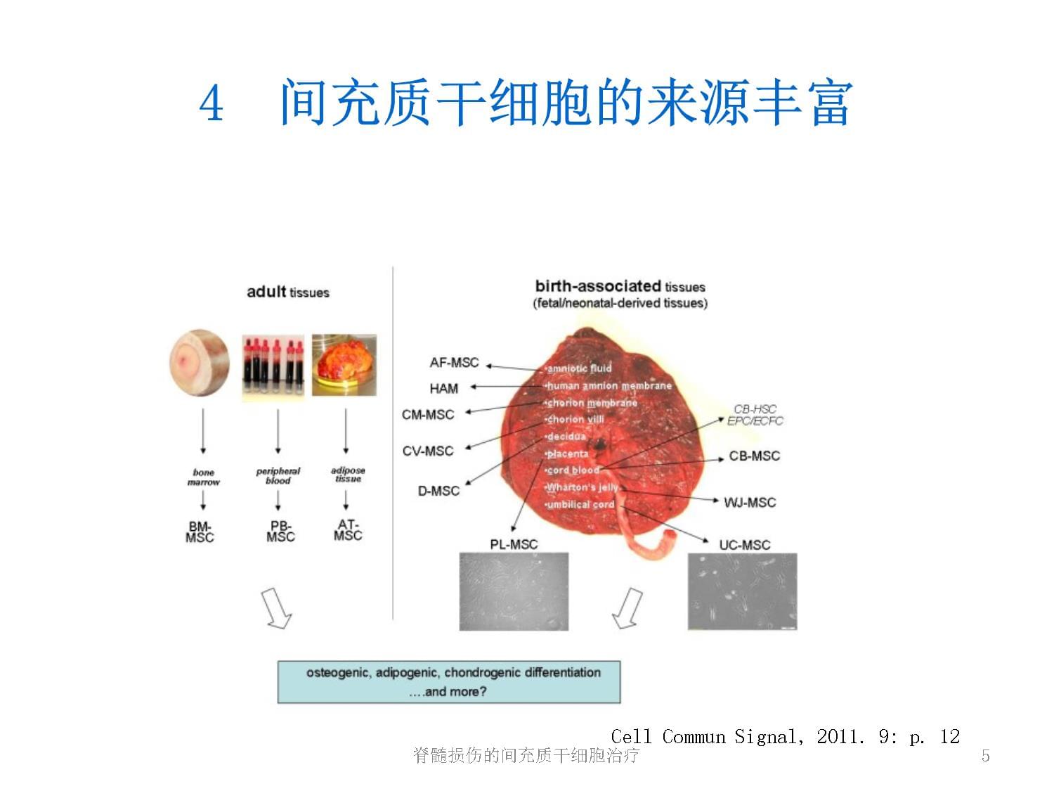 国内的干细胞公司排名(图1)